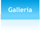 Galleria